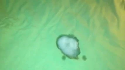İyi boşalma