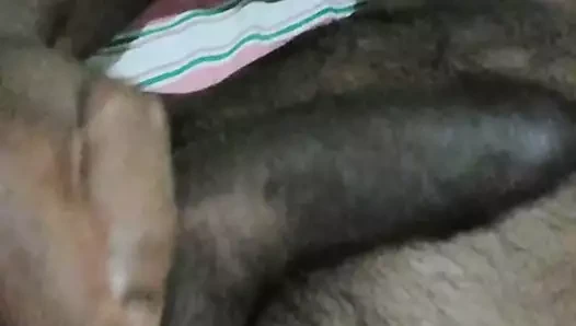 Sri Lankalı büyük siyah traş çük.