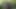 BiBlackUK Wank in Woods