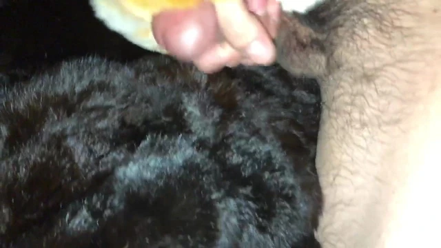 More cum on fur