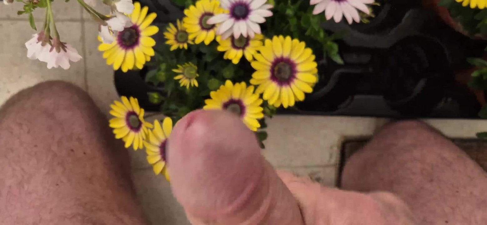 Small gifts for my neighbor flowers and sperm