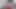 Dicke Möpse, BBW Auf Den Knien Für BBC