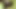 Skinny looking twink thug camping and masturbation solo
