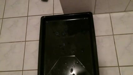 Userinen Wunsch