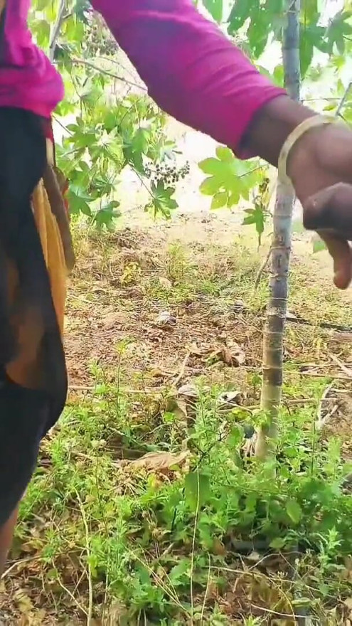 Desi outdoor sex video in hindi audio xxx video, viral bhabhi ki desi chudai | Clip 2