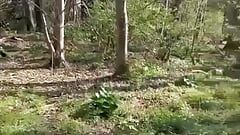 Lucky stranger getting a wank from me in the woods before I take him home for hard fuck