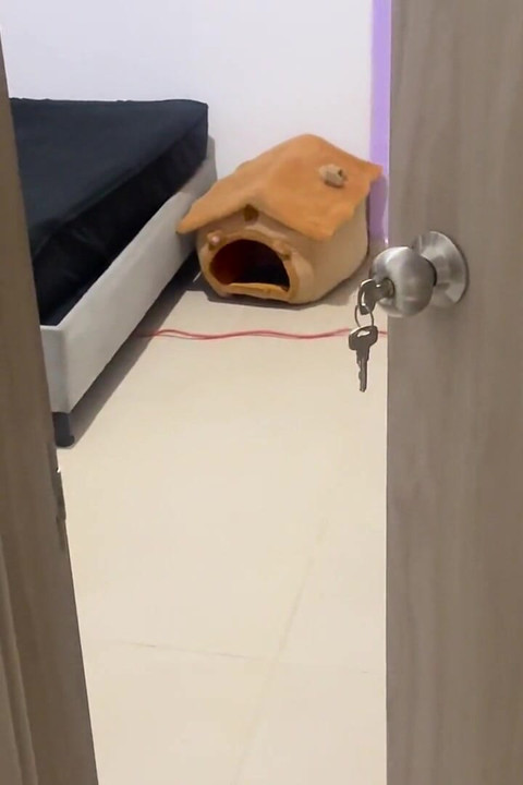 I'm Caught by My Ex Masturbating and He Ends up Fucking Me and Cumming in My Ass