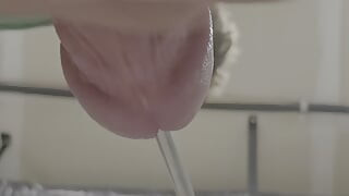 Sounding hard cock and cumming