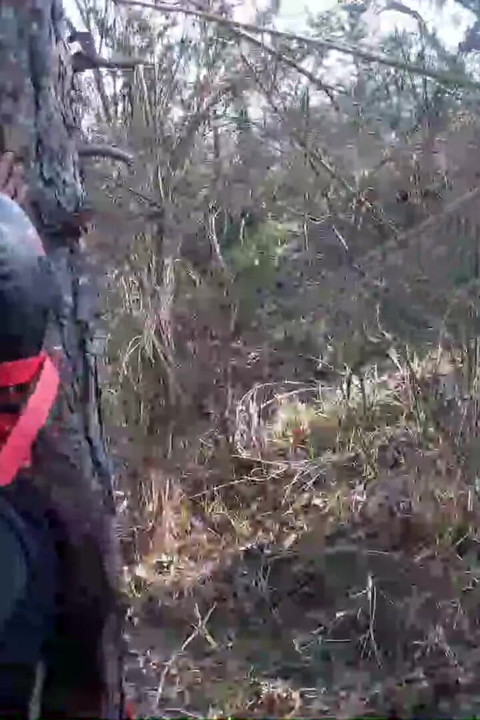 숲에서 야외 섹스. 섹시한 옷과 하이힐을 신고, 묶이고, 목구멍에 따먹히다