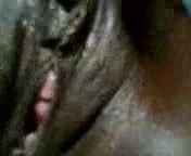 Old pussy