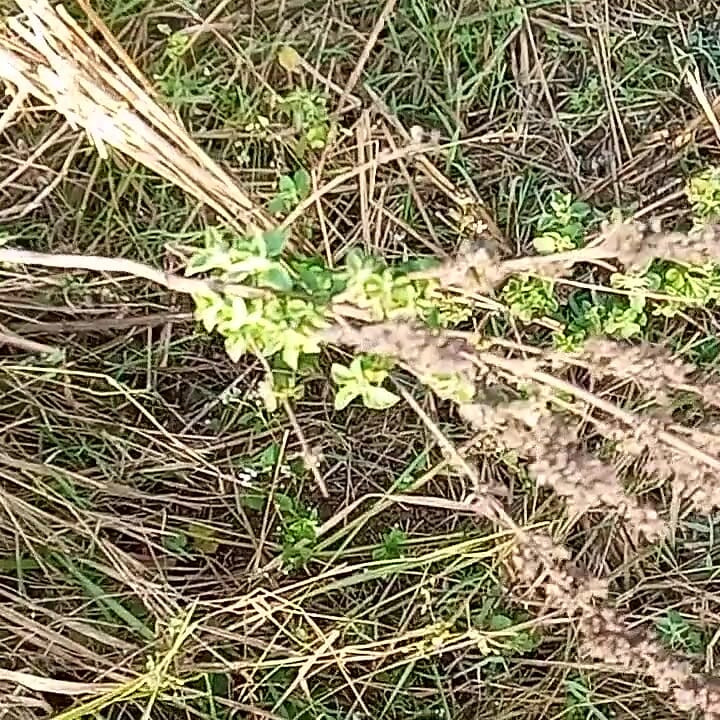 Chico gay al aire libre