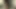 Zoe kazan - devrimci yol