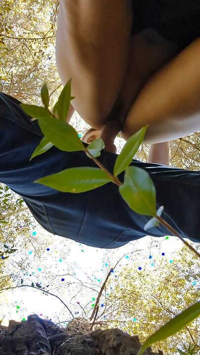 Amateur couple improvises a sudden fuck in the woods