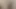 Hint desi gf kedi parmak bölüm 2