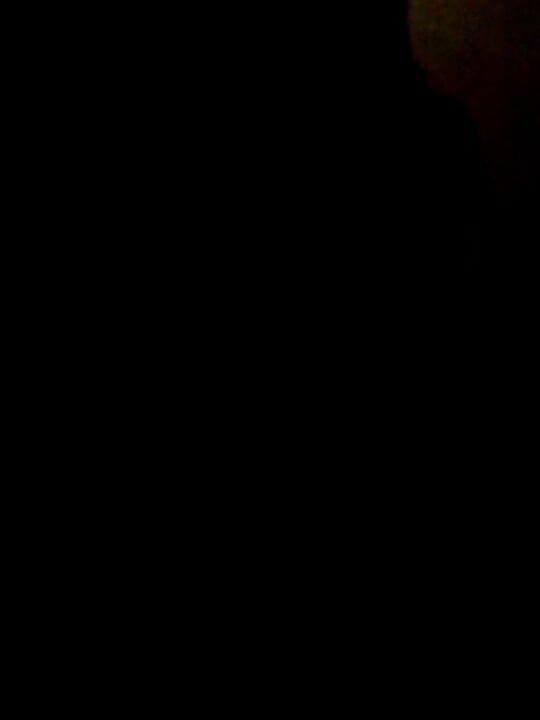 Cocomelon Ragga desafío oscuro vibraciones y salvajes movimientos lunares