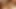 Transgirl Babe Barbie likes Anal