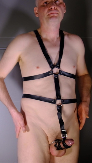 Man erect cock and naked body strapped into a leather harness bondage gear BDSM