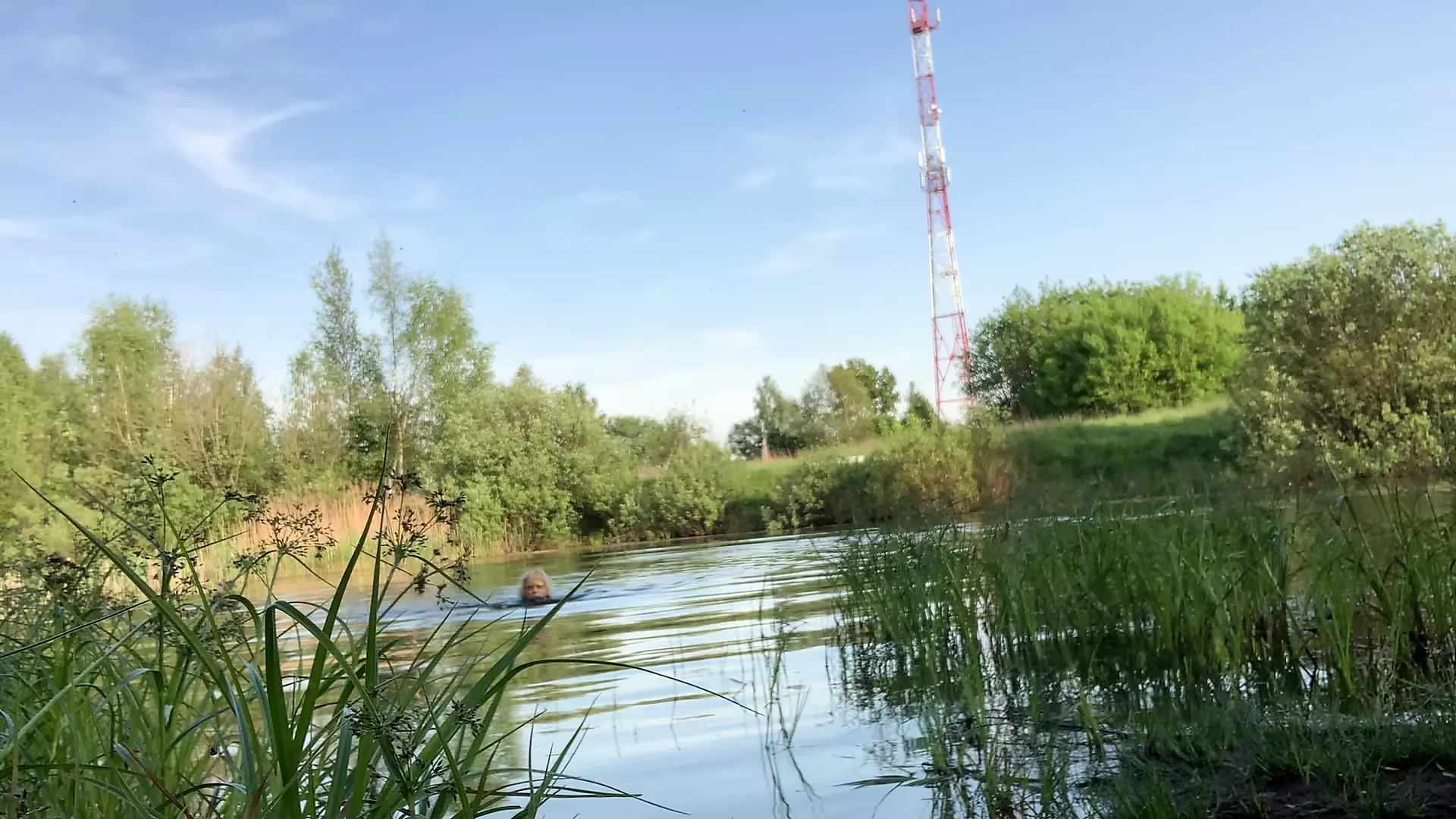 Transgirl Alexa Cosmic se natopljena i pliva u šortsu i topu i gola u jezeru