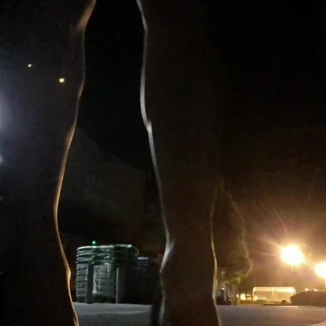 Crossdress walk in public