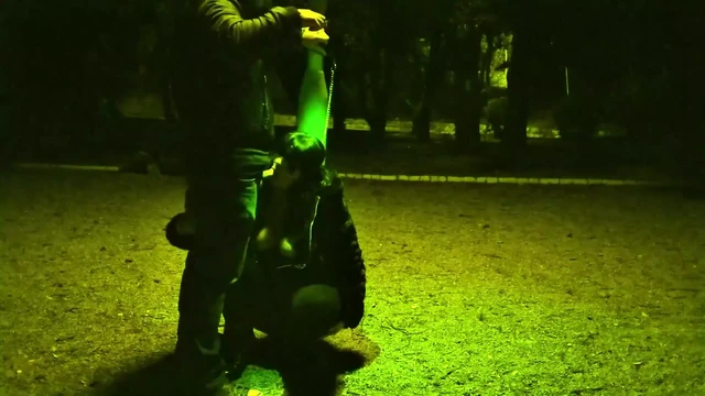 MILF Whore Gives a Blowjob on a Leash in a Public Place