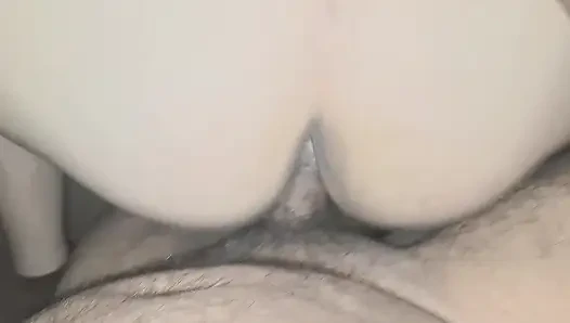 of a puppy