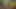 I Caught the king's daughter masturbating – should I fuck her