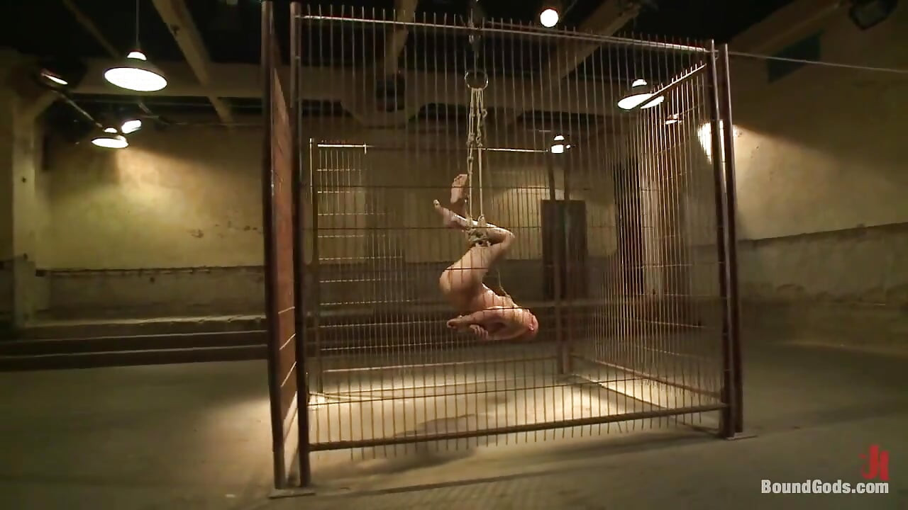 Caged and Fucked Like an Animal