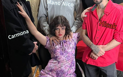 Pregled videozapisa