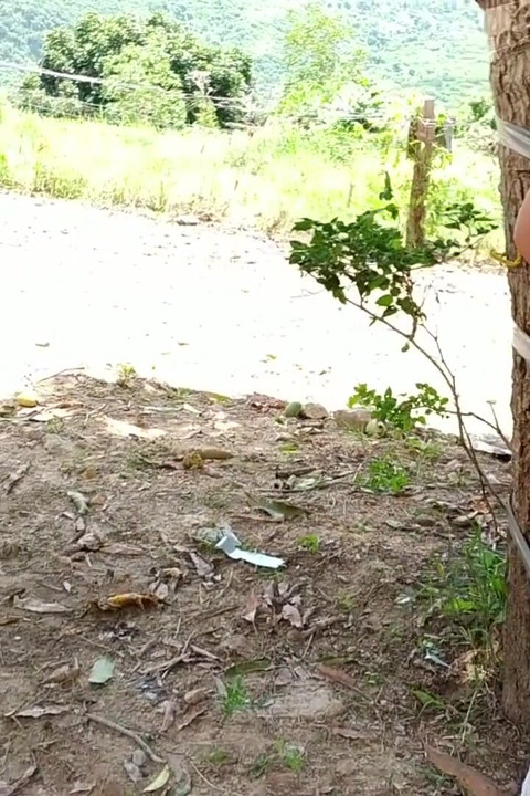 The MILF Left Me Tied to a Tree in the Middle of Nowhere!