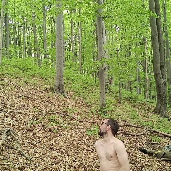 I Chase Him Through the Leaves