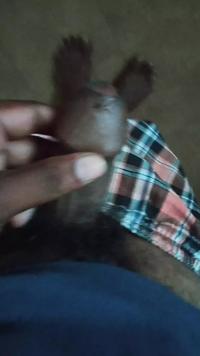 Having fun