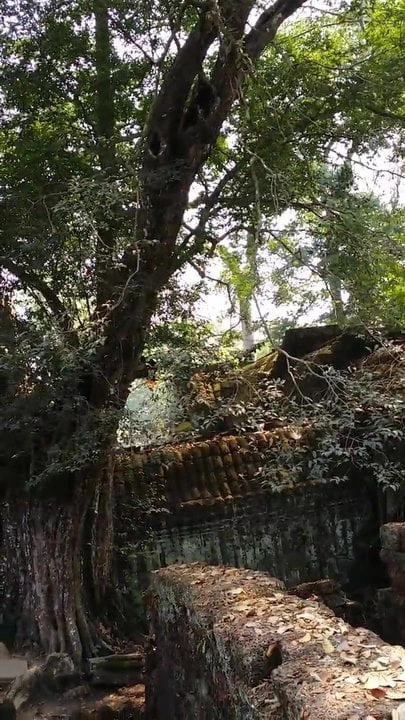 Cambodia