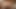 はだかの家政婦 全裸家政婦紹介所 八乃つばさ - Part.1