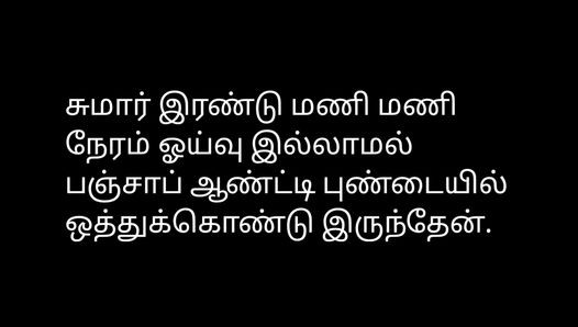 Audio de la historia de sexo tamil - tía punjabi