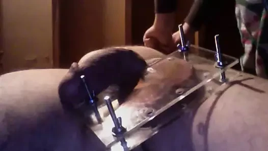 Femdom kızı mengene içinde kölenin topunu yok eder