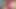 Großer und Venozose Penis, Intensive Masturbation, Rote Strumpfhose, Nahaufnahme