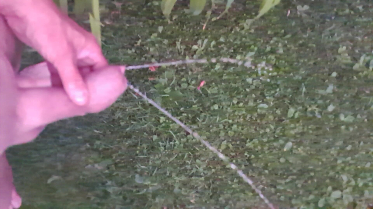 Pissing in the garden