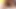 A Wife in Venice Update #2 to Be Continue