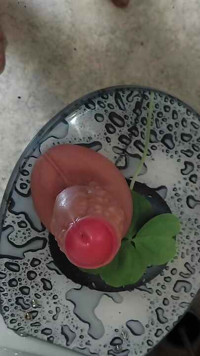 Anal or