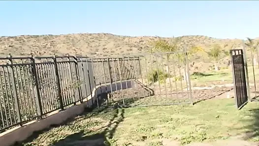 Bebek amcığının çok güzel sulu aşk kutusu büyük aşk çubuğu için geniş açık bekliyor