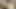 HOTTEST COUPLE SEX, hardcore sex from sexy cluple, blowjob to deep 69 and to hardcore fuck, sexy blonde getting fucked
