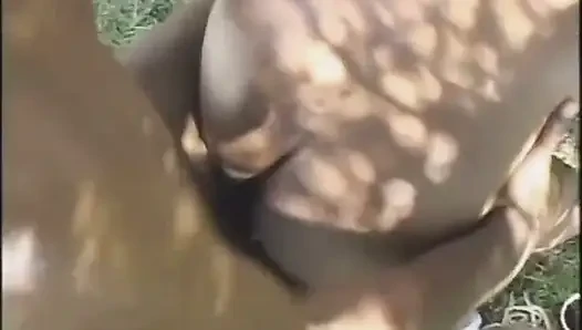 Sexy schwarze paare lieben es im garten, muschi zu lecken, großen schwarzen schwanz lutschen