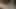 Bağlı Sarışın Yoğun BDSM Hakimiyetine Boyun Eğiyor