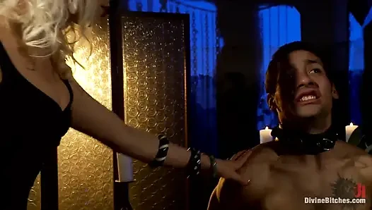 The Ultimate Cock Tease