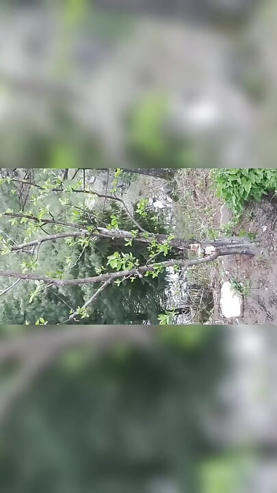 Desi outdoor blowjob compilation miss mahi 2007 18 year old teen girl