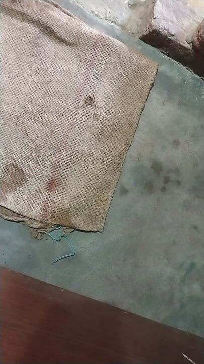 Indian bhabhi sex
