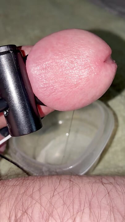 Precum σάλια