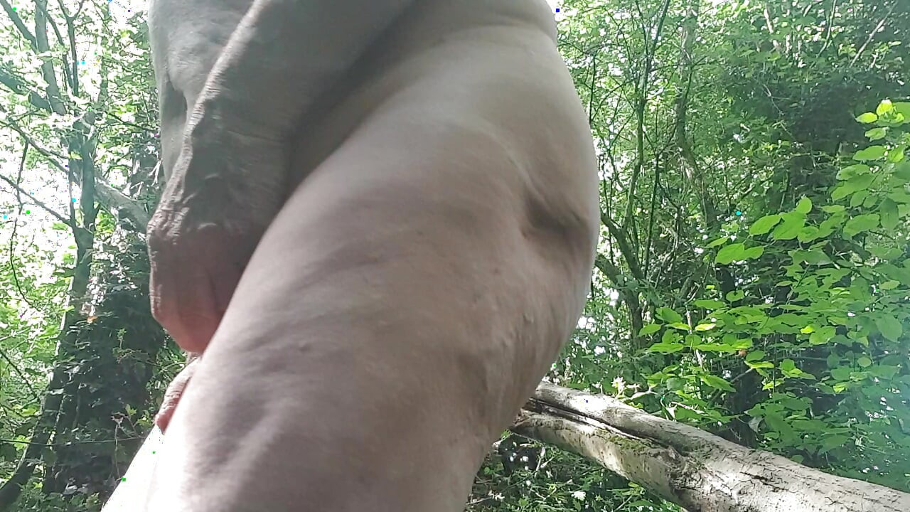 Naked in the wood