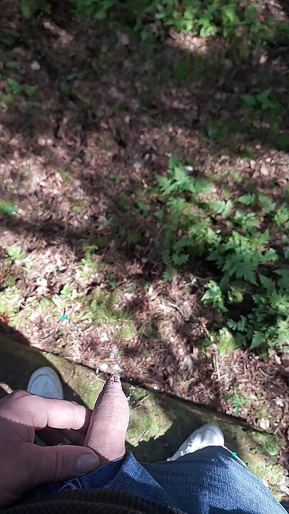 Boy peeing in a public wood
