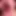 Inside my mouth: ginary
